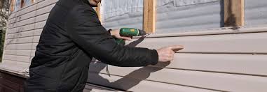 Best Custom Trim and Detailing for Siding  in Rushville, NE